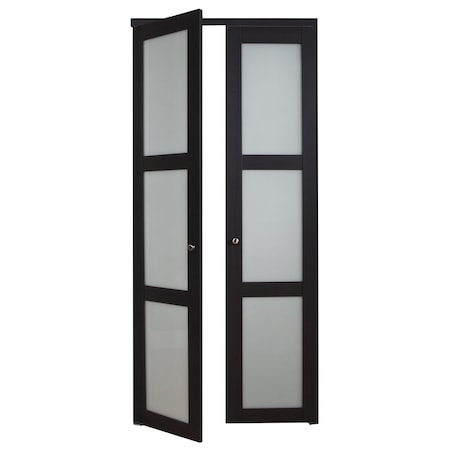 Renin Renin 36 in. x 80 1/2 in. Euro 3-Lite Design Pivot Door PV5402ESFGC036080
